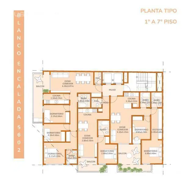 Plano 1