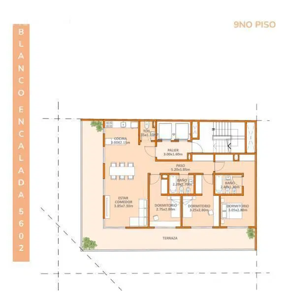 Plano 5