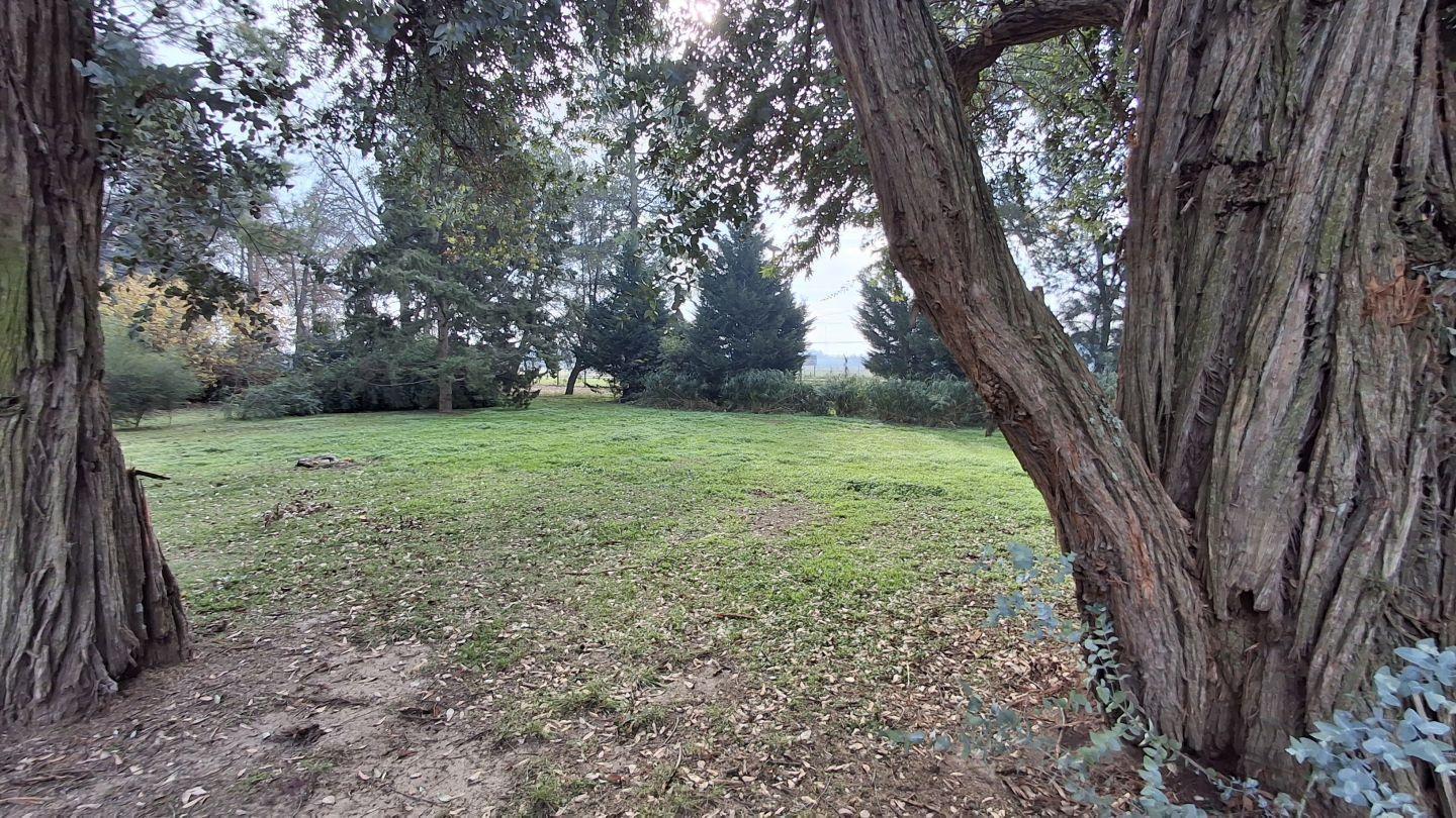 Foto de Lote . | Ruta 192 al km00, imagen 5