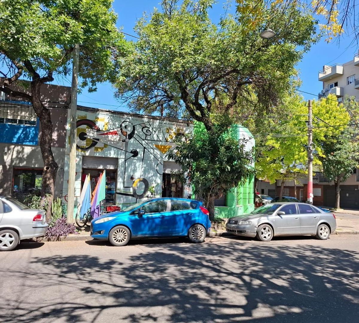 LOTE IDEAL EMPRENDIMIENTO PTE ROCA/ VIRASORO 240 M2