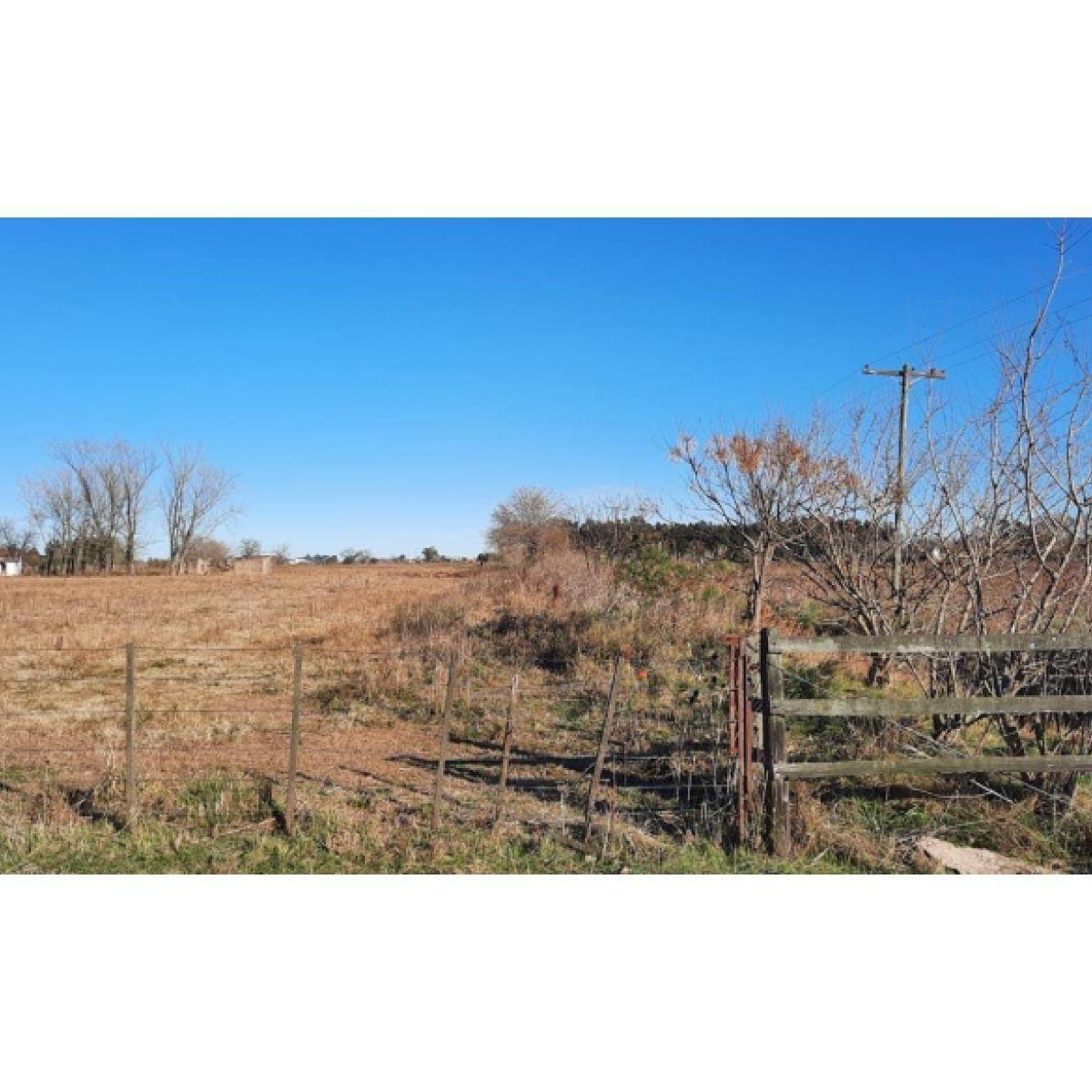 FRACCION DE CAMPO EN IBARLUCEA RUTA 34 S  57.189.- M2