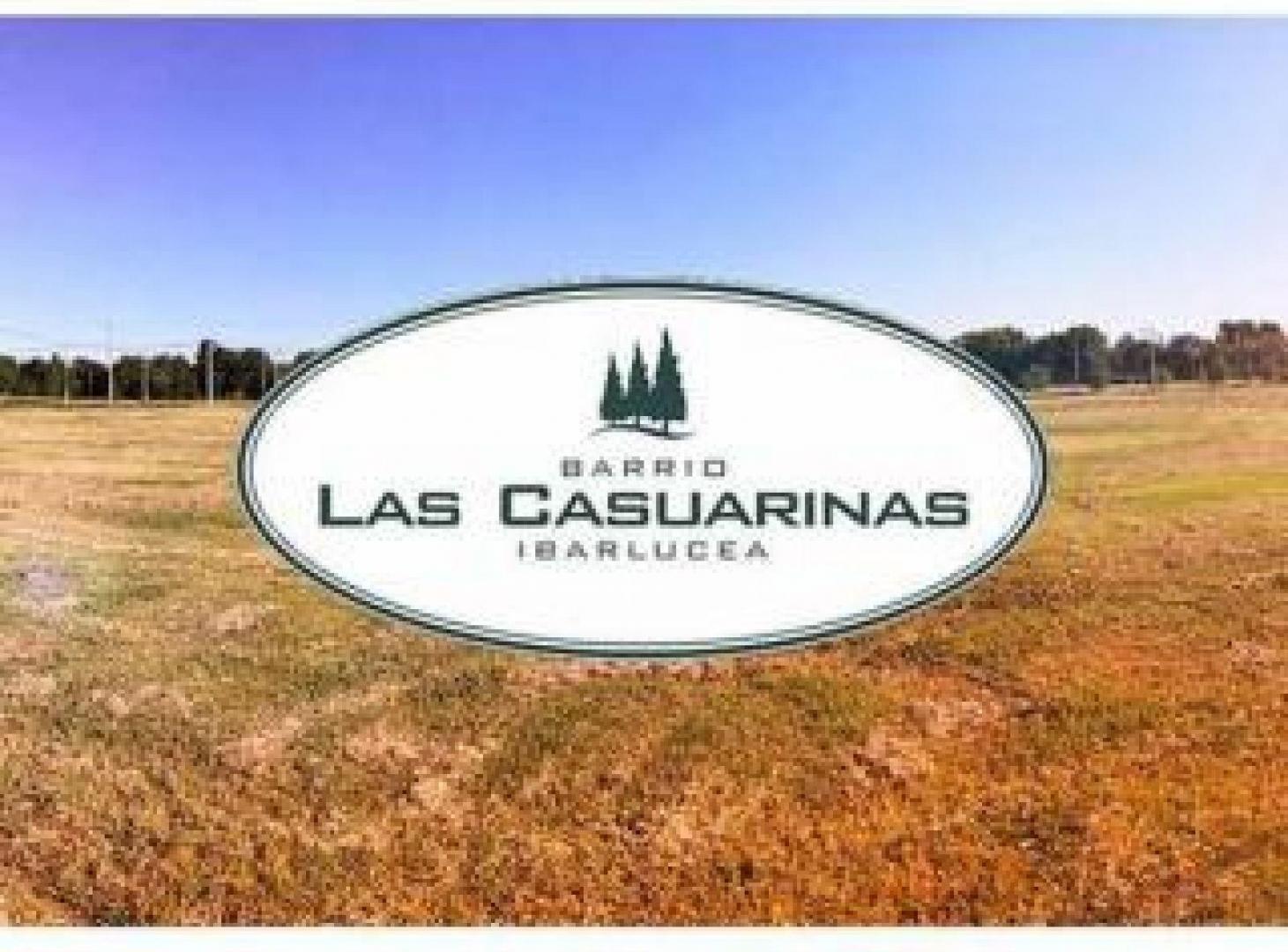 VENTA TERRENO 155 BARRIO LAS CASUARINAS IBARLUCEA