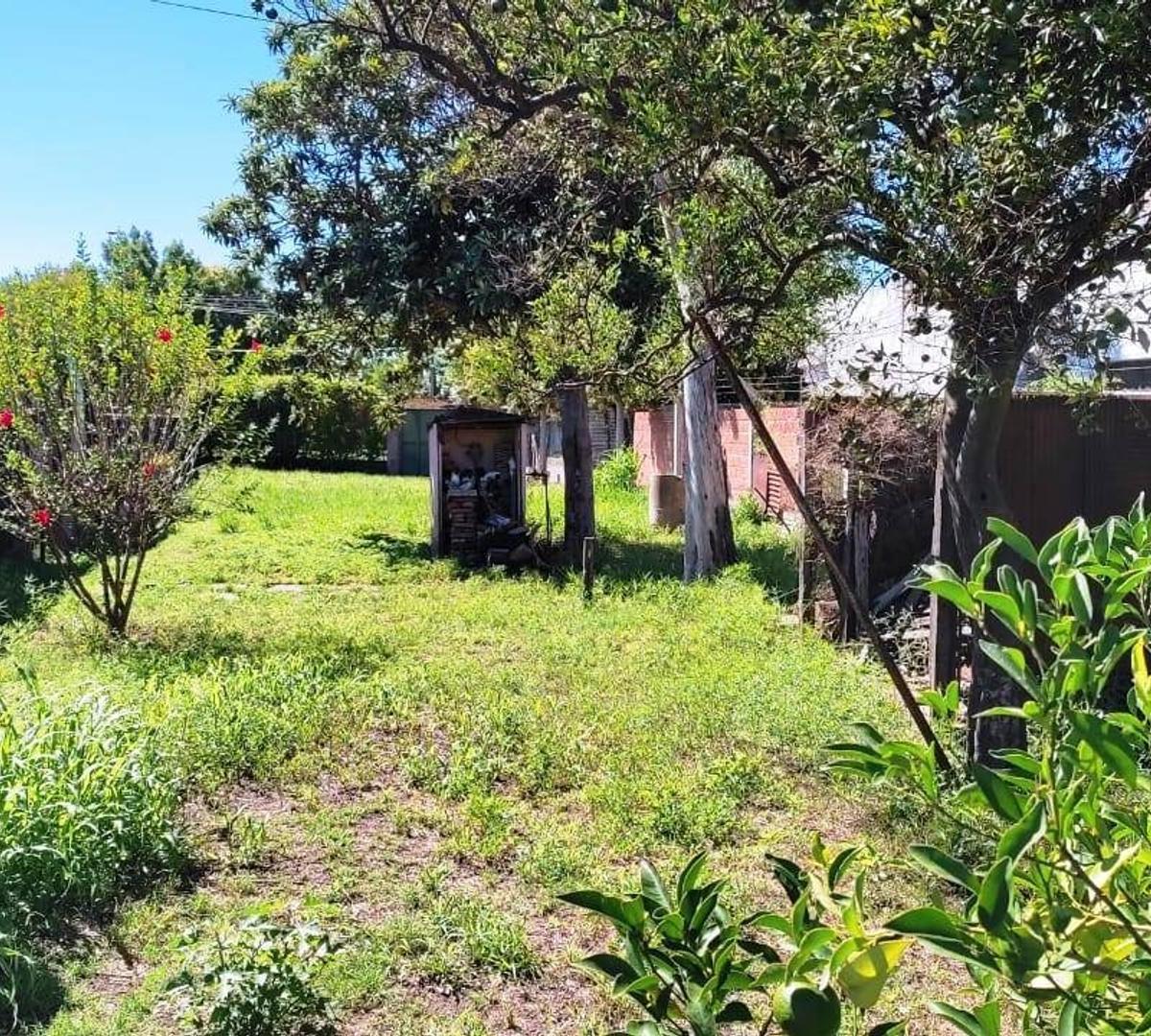 Terreno Amplio Buena Ubicación 1