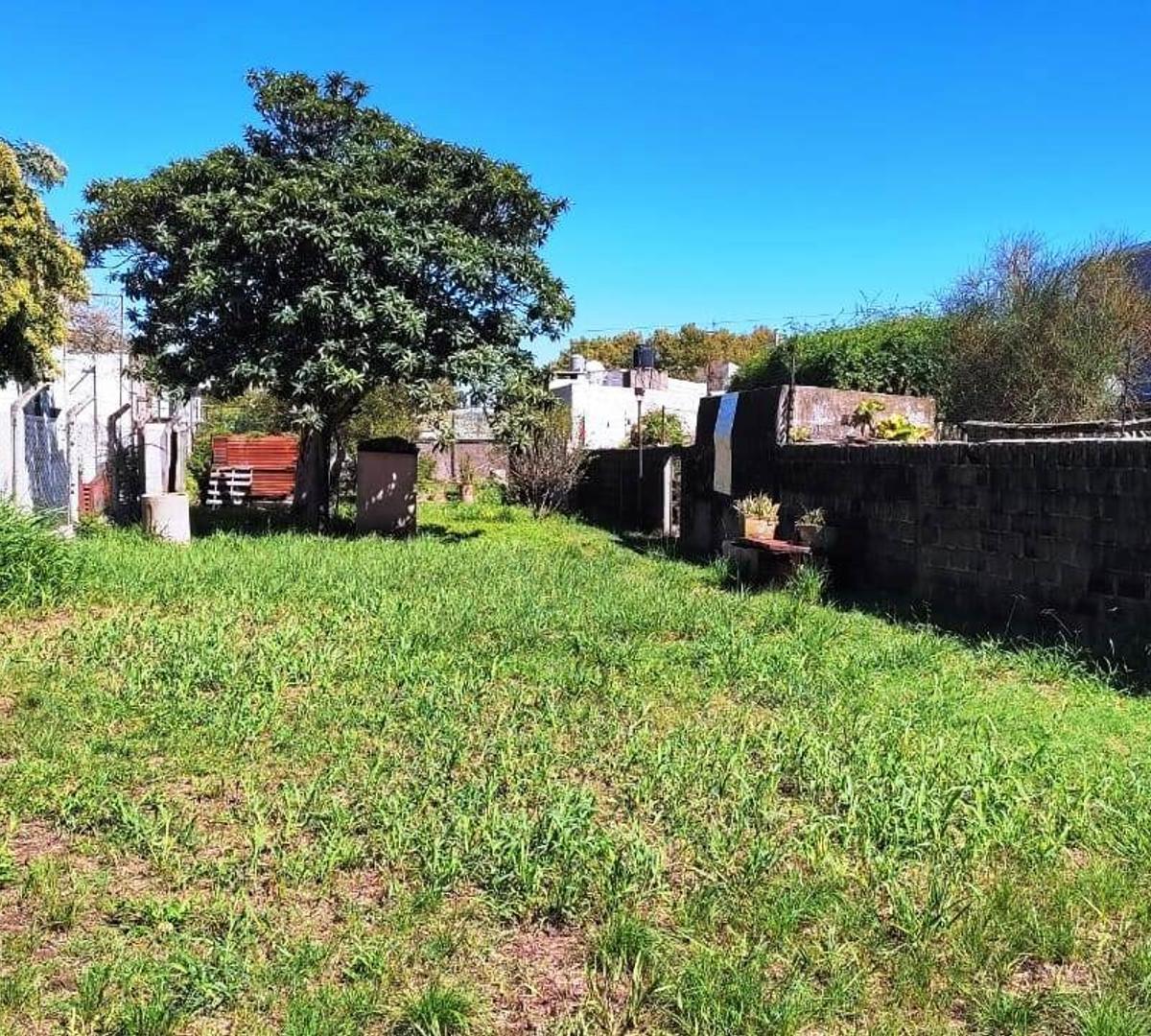 Terreno Amplio Buena Ubicación 5