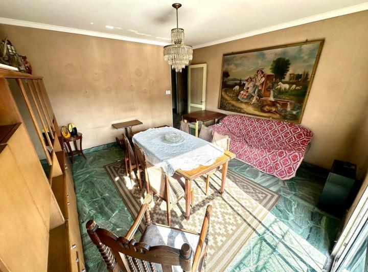 Foto de CASA 5 AMBIENTES SOBRE LOTE PROPIO Y LOCAL EN BARRACAS VENTA, imagen 3