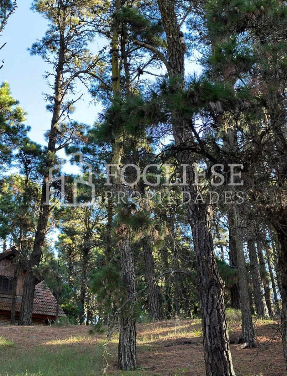 Lote en Venta Mar de Las Pampas de 450 m² 5