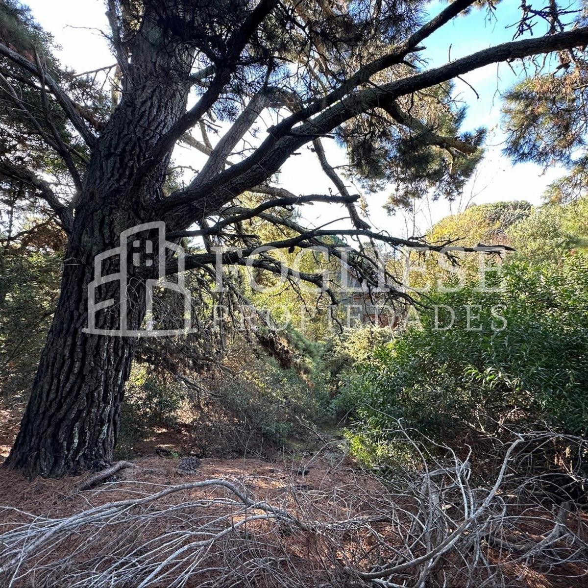 Lote en Venta Mar de Las Pampas de 450 m² 3