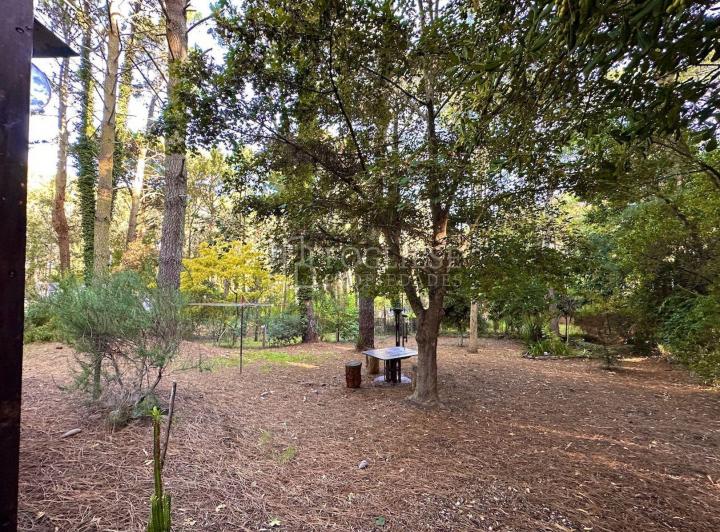 Casa de 3 ambientes en Venta Mar de las Pampas 4