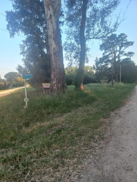 Foto de TERRENO EN BARRIO LA ARMONIA, imagen 4