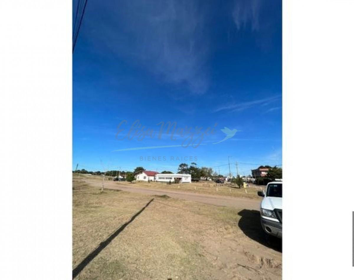 Complejo en Venta - Ostende 5