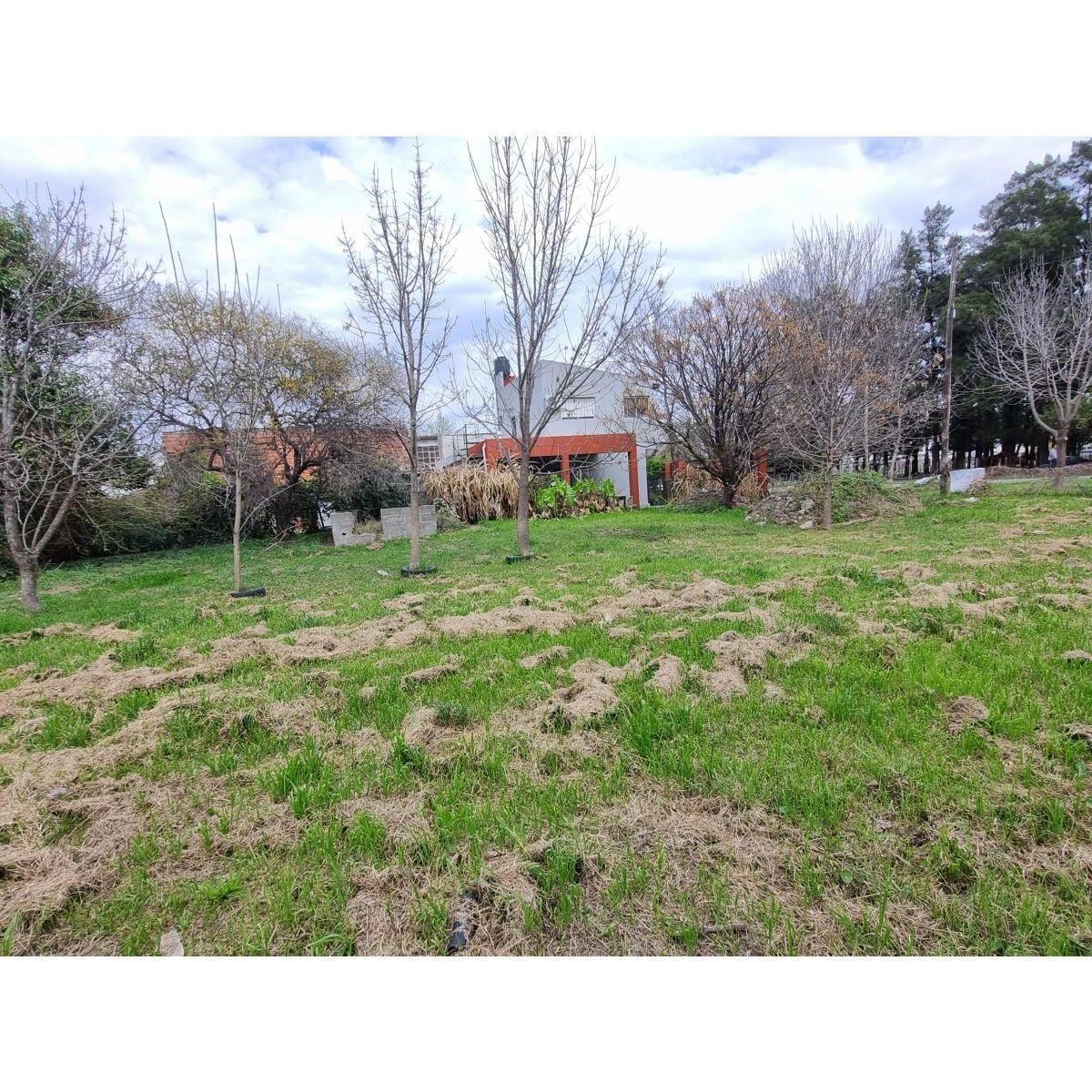 LOS ARRAYANES 1930 - TERRENO FRENTE A BOSQUE DE LOS CONSTITUYENTES -