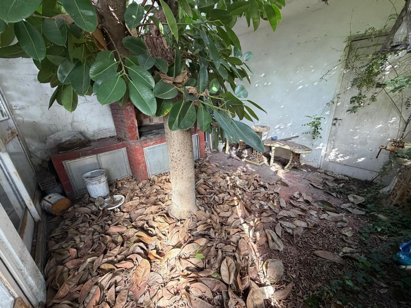 Foto de Venta. Casa 4 Ambientes. Jardin. Cochera. Esquiu 1700., imagen 5