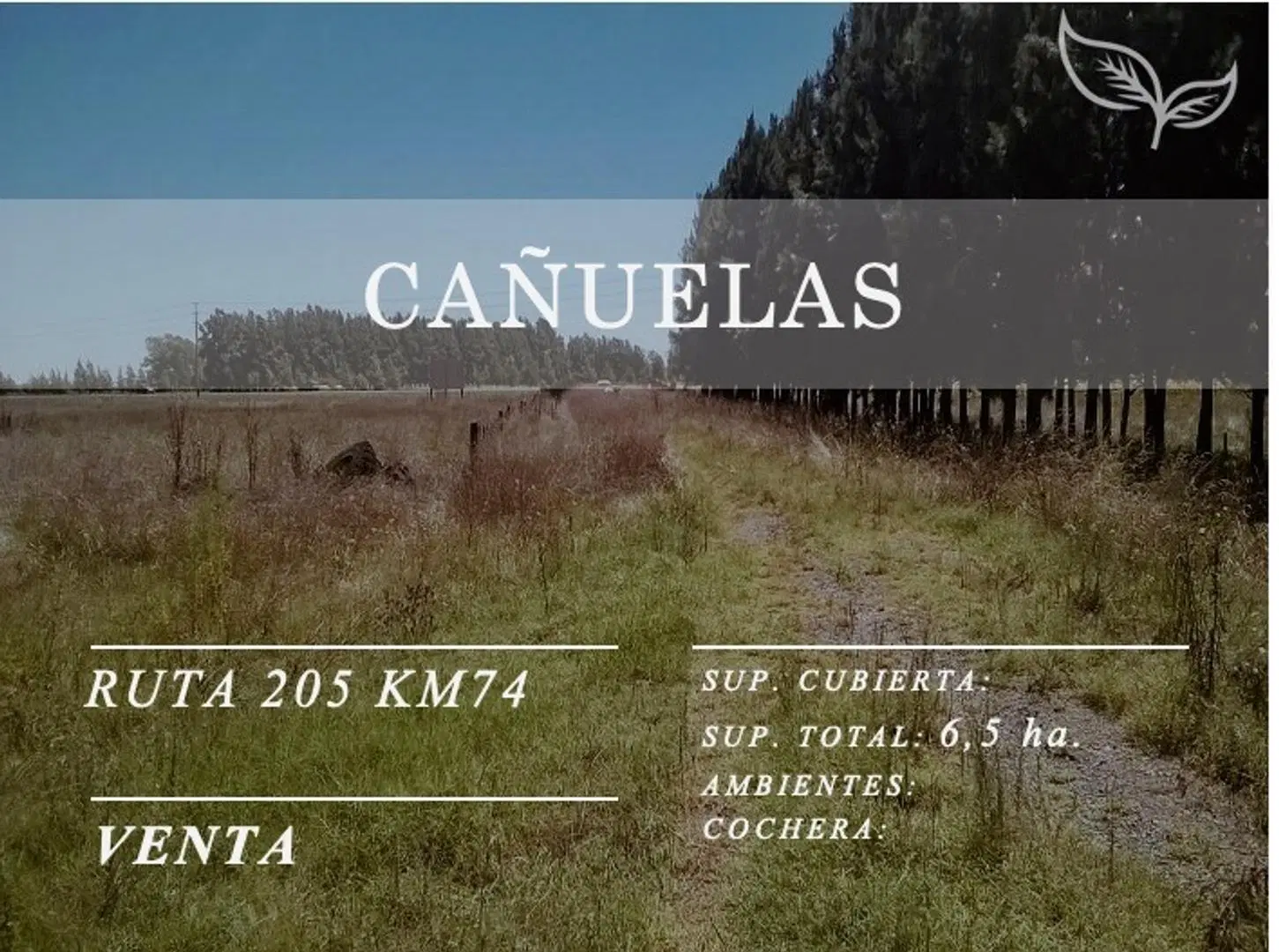 6,5 Has | Ruta 205 | Km 74 | Cañuelas | Unico dueño 4