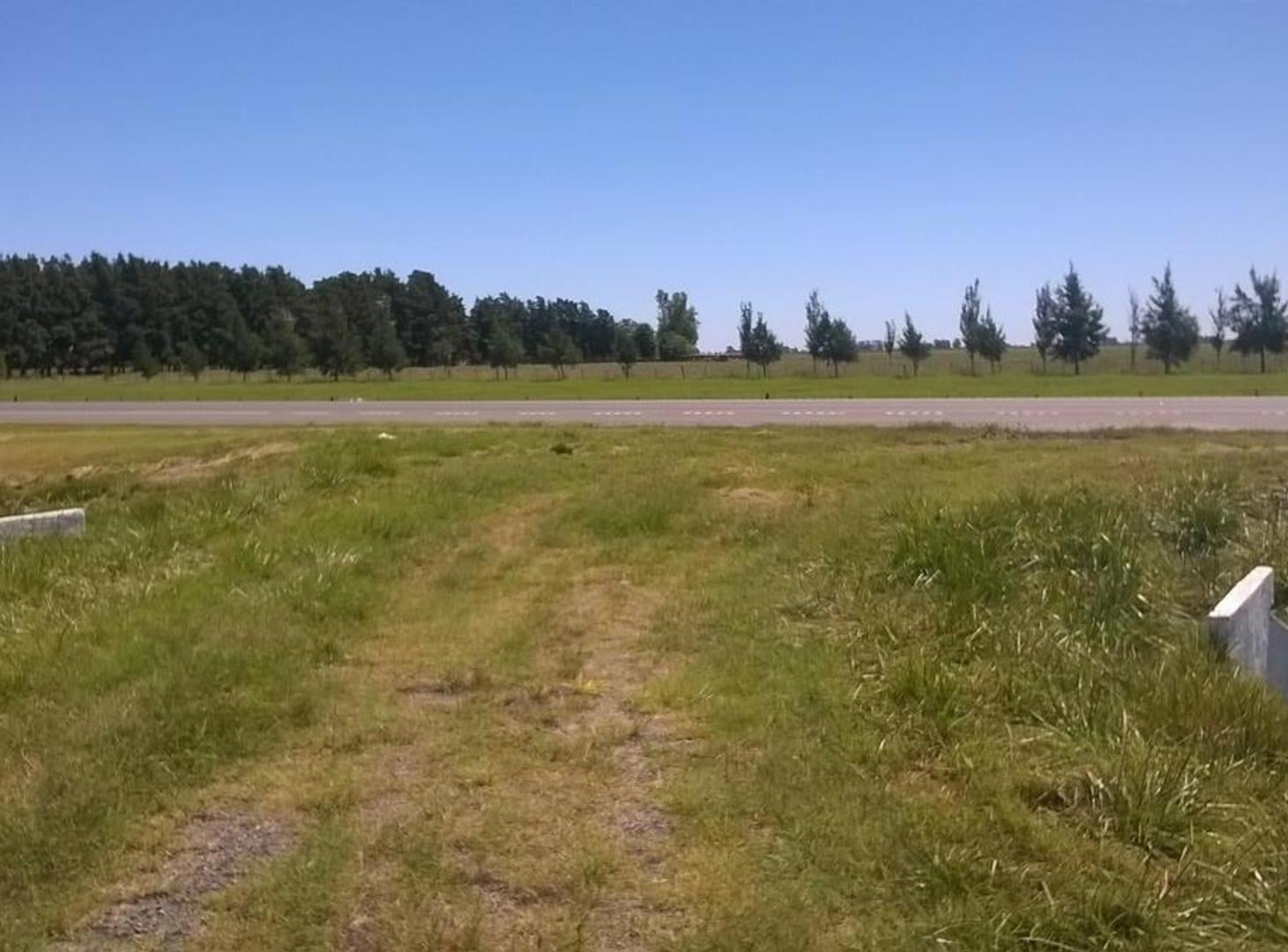 6,5 Has | Ruta 205 | Km 74 | Cañuelas | Unico dueño