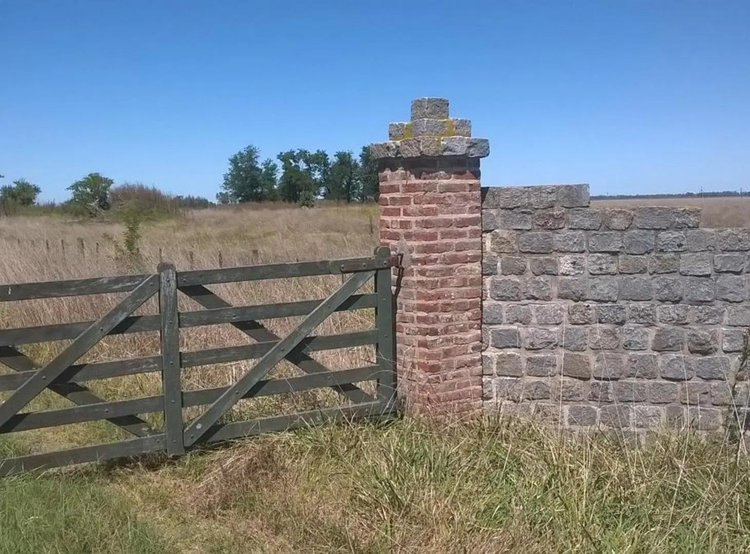 6,5 Has | Ruta 205 | Km 74 | Cañuelas | Unico dueño 1