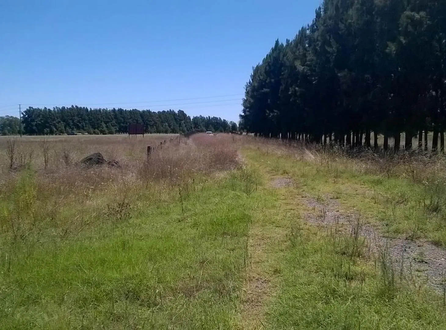 6,5 Has | Ruta 205 | Km 74 | Cañuelas | Unico dueño 2