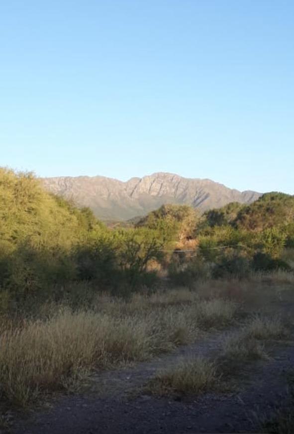 Venta - Sierras de Cordoba - Comuna de Charbonier. Terrenos 3