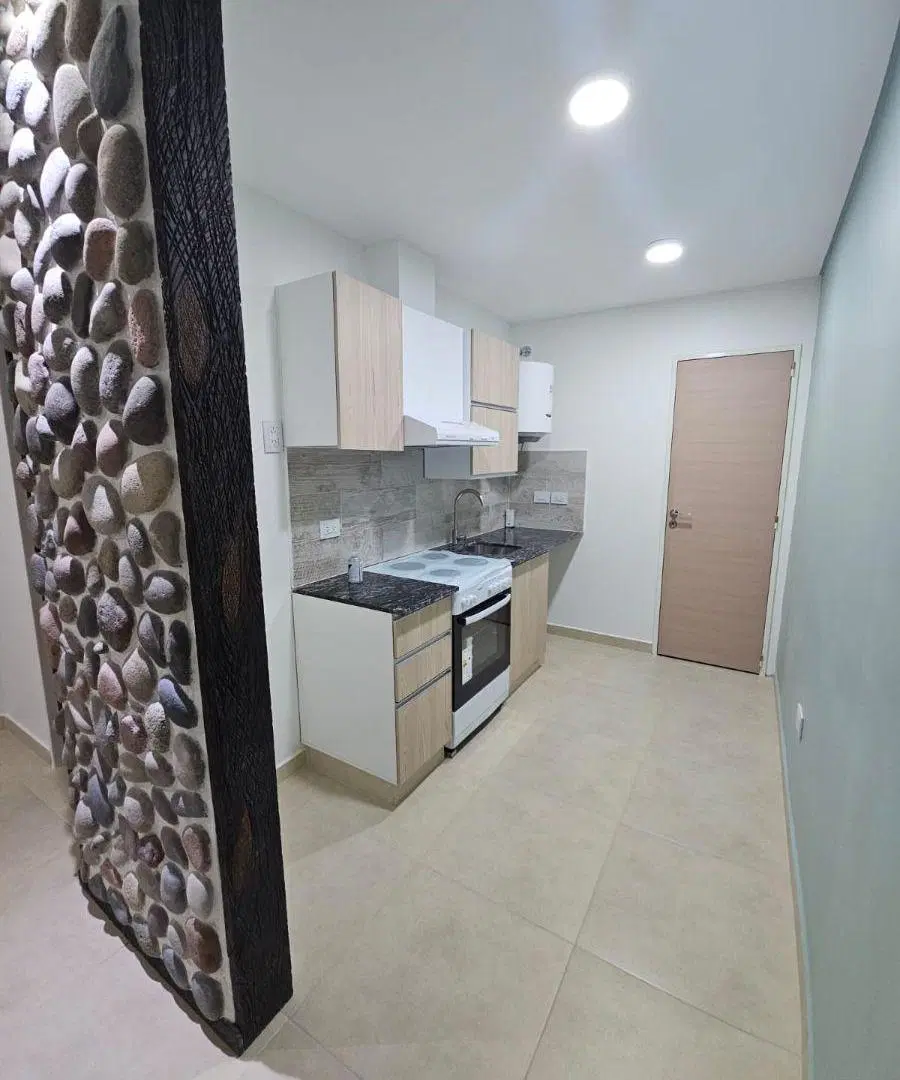 EN VENTA - PH en 2 ambientes a estrenar 3