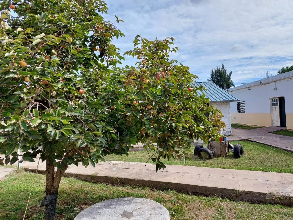 Casa Quinta en Venta en Villa Luzuriaga 8