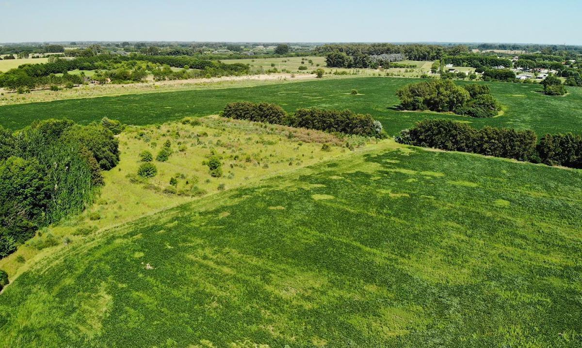 Campo de 50 hectáreas sobre Ruta 6