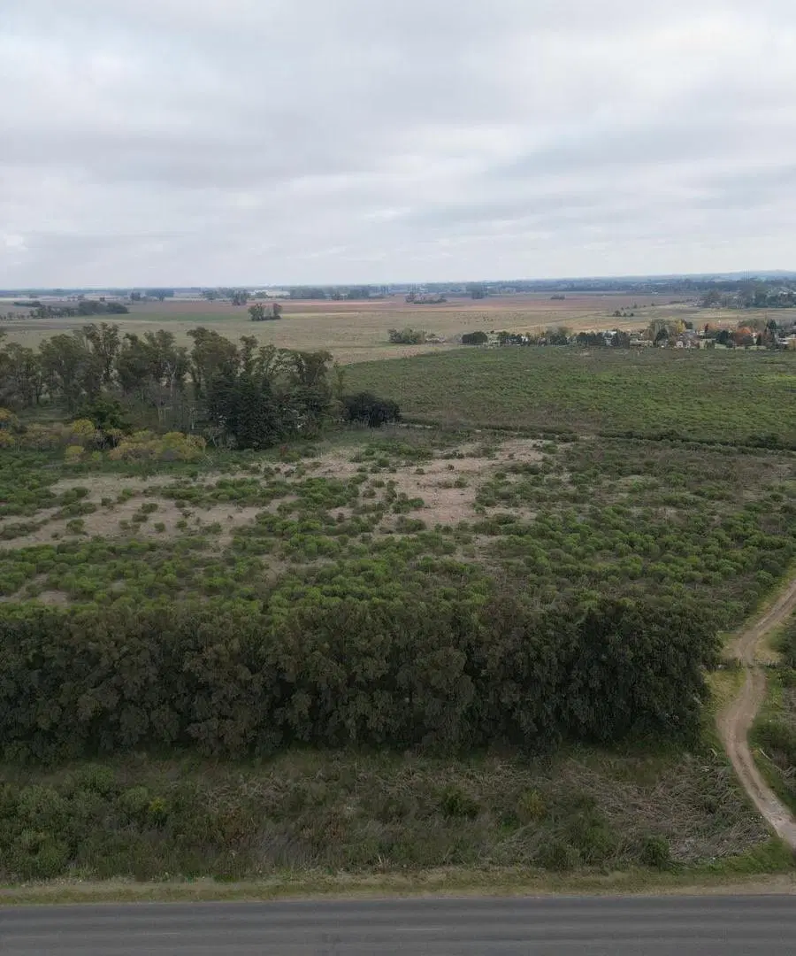 Gran Campo de 27 Has en Venta sobre Ruta 47 5