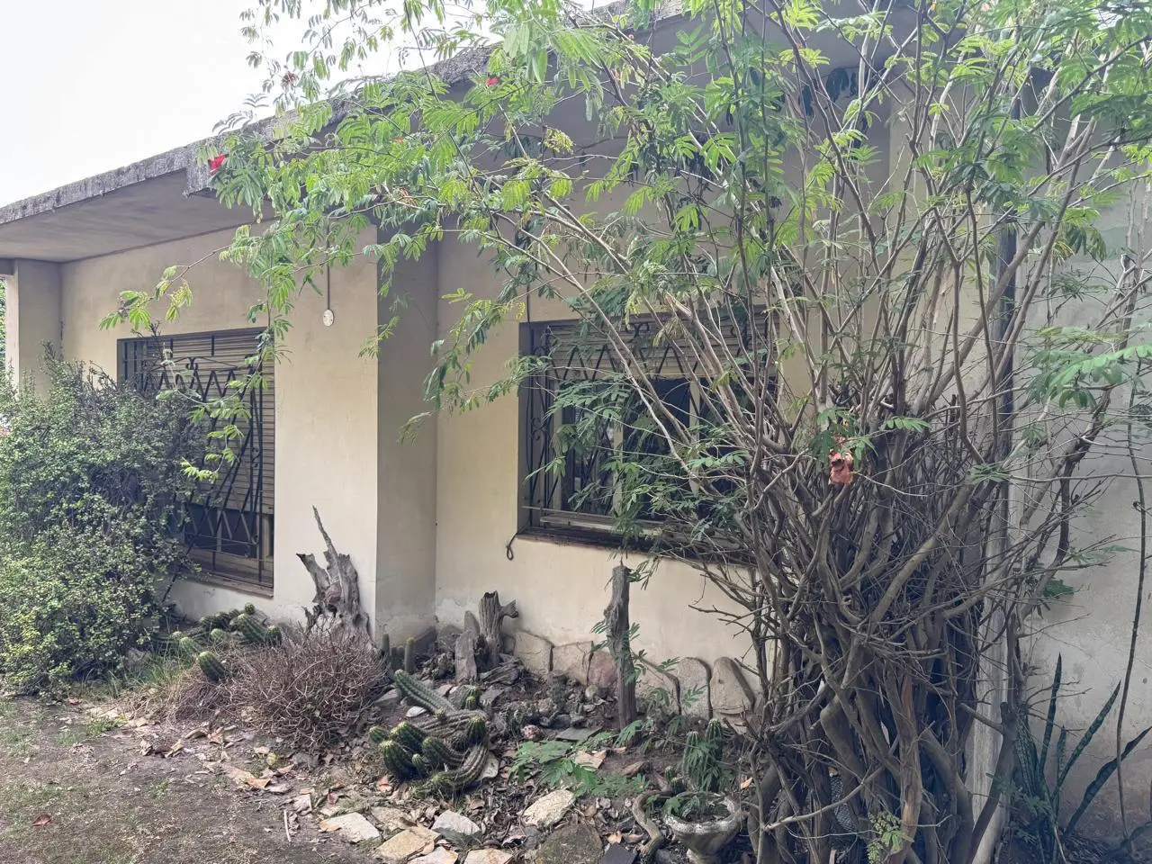 SOLIDA CASA AMERICANA sobre 2 LOTES. EN VENTA. ITUZAINGO NORTE 5
