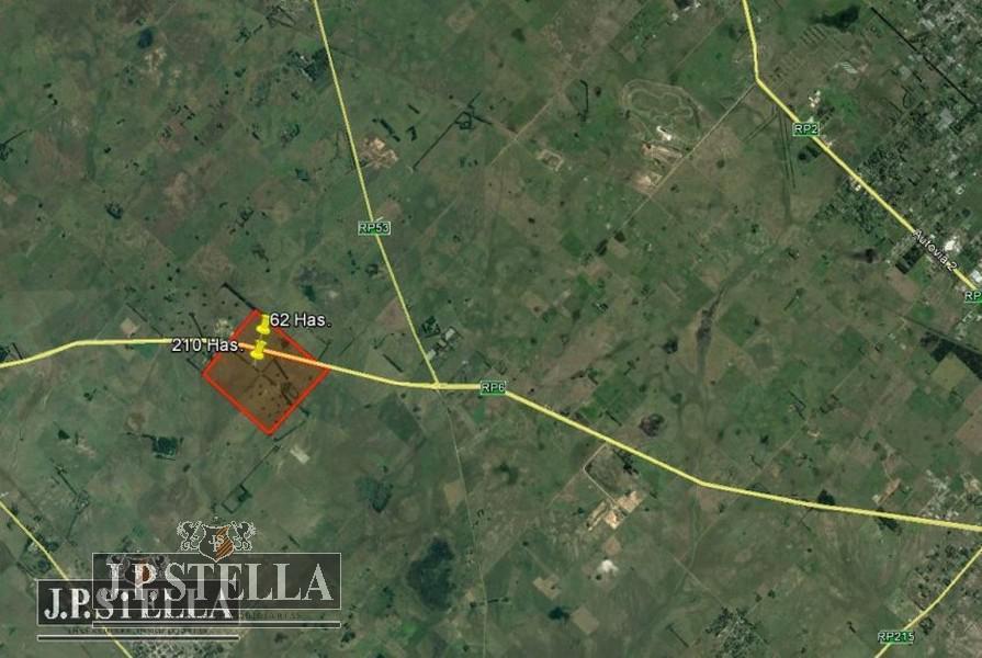 Campo 272 Ha con vivienda y mejoras - San Vicente