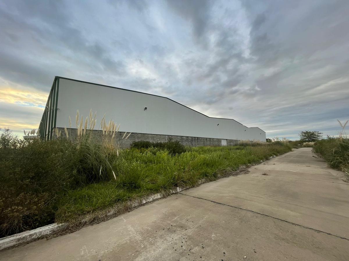 Fracción Industrial 26 Ha Galpón 12.800 m² Cub. - Carlos Spegazzini 3