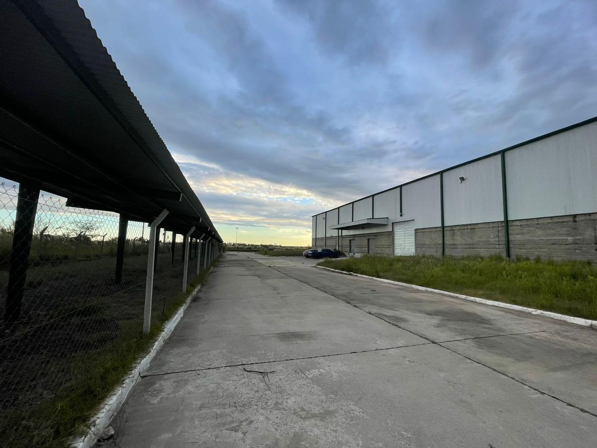 Fracción Industrial 26 Ha Galpón 12.800 m² Cub. - Carlos Spegazzini 5