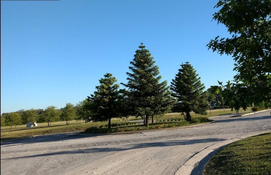 Lote 2006 m² en el club de Campo Everlinks Golf