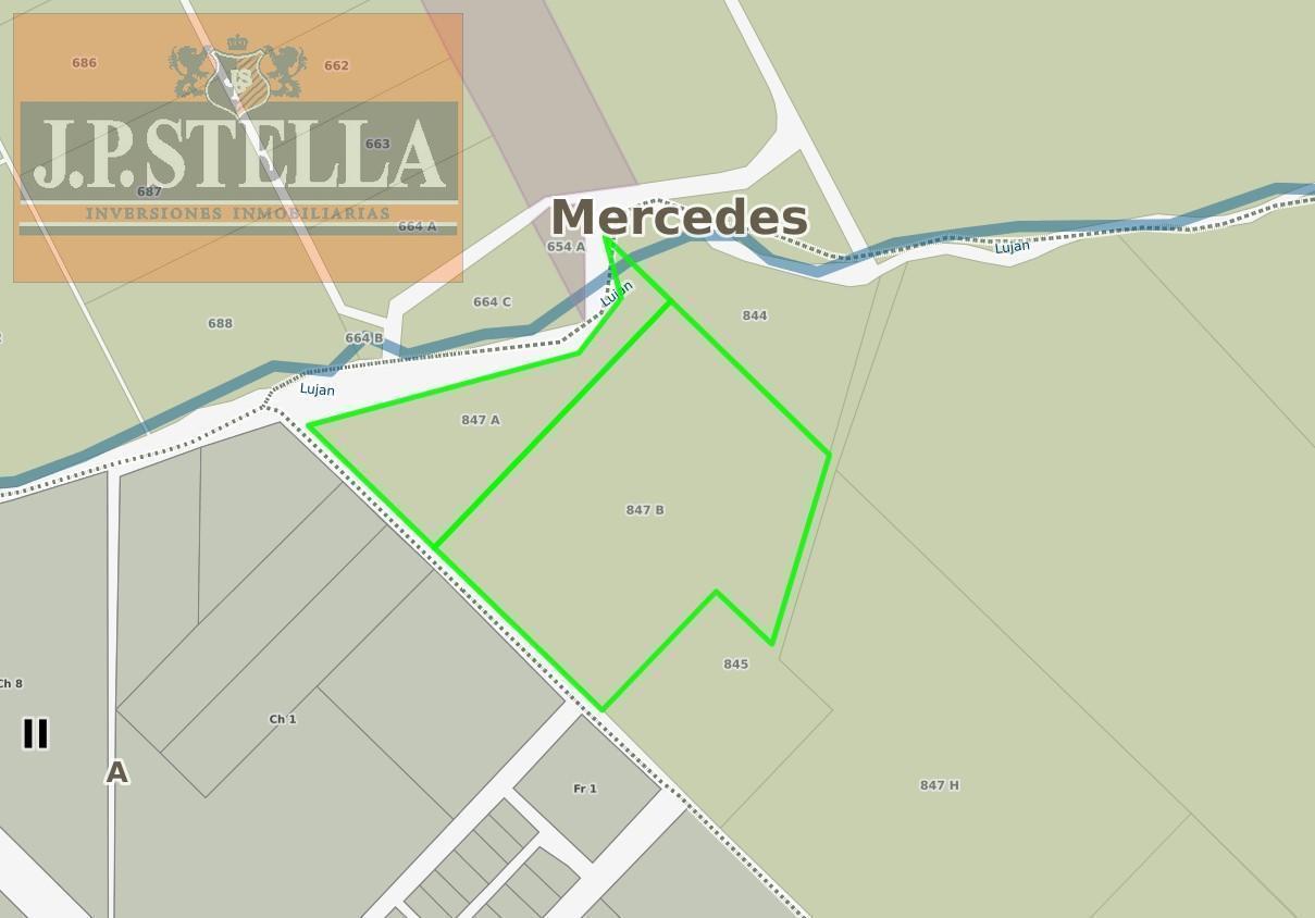 Foto de Campo Industrial 37 ha con Vivienda y 2 Galpones - 560 m² Edificados, imagen 4