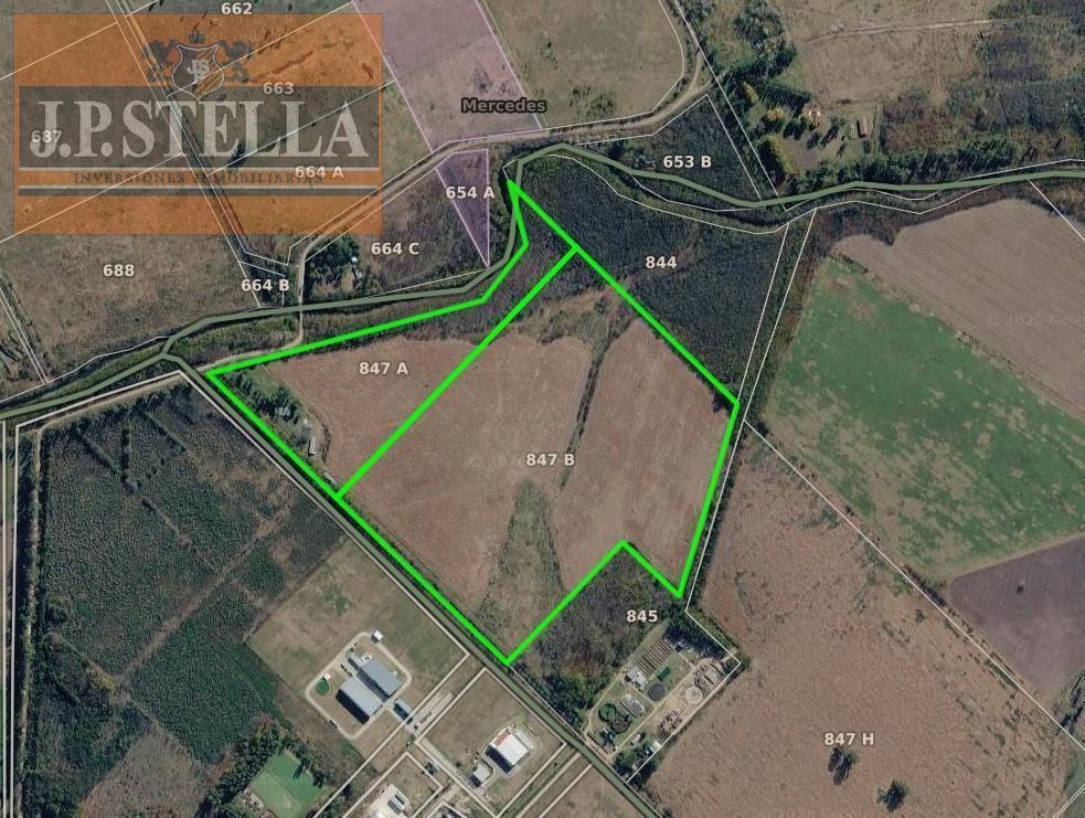 Foto de Campo Industrial 37 ha con Vivienda y 2 Galpones - 560 m² Edificados, imagen 3