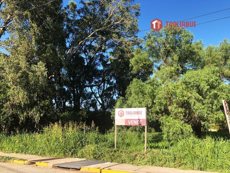 Terreno - Pantanillo Este 3