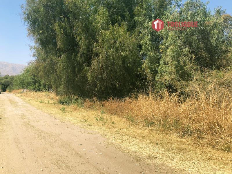 Terreno - Lote Céntrico en Merlo - San Luis 4