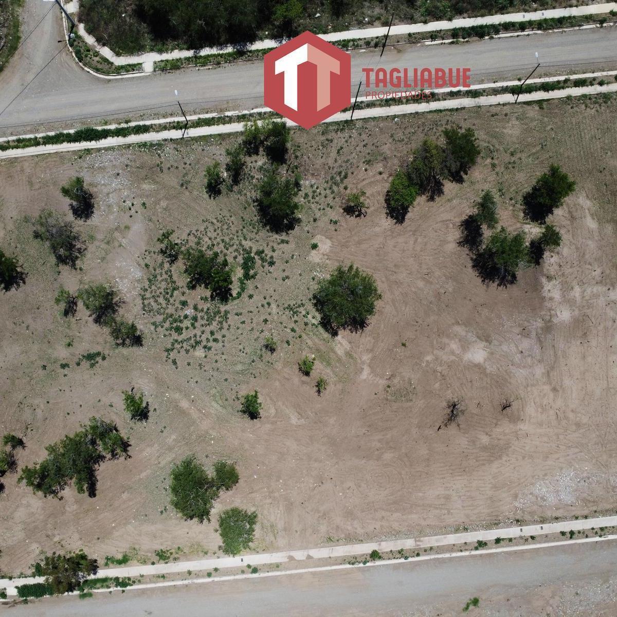 Terreno en La Arbolada 2