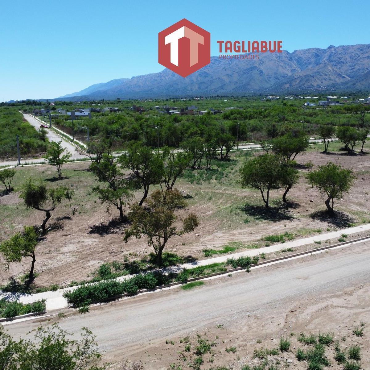 Terreno en La Arbolada 4