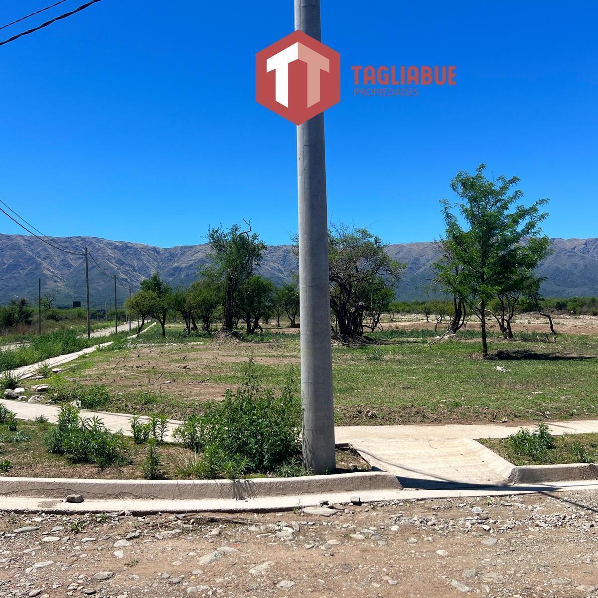 Terreno en La Arbolada 5
