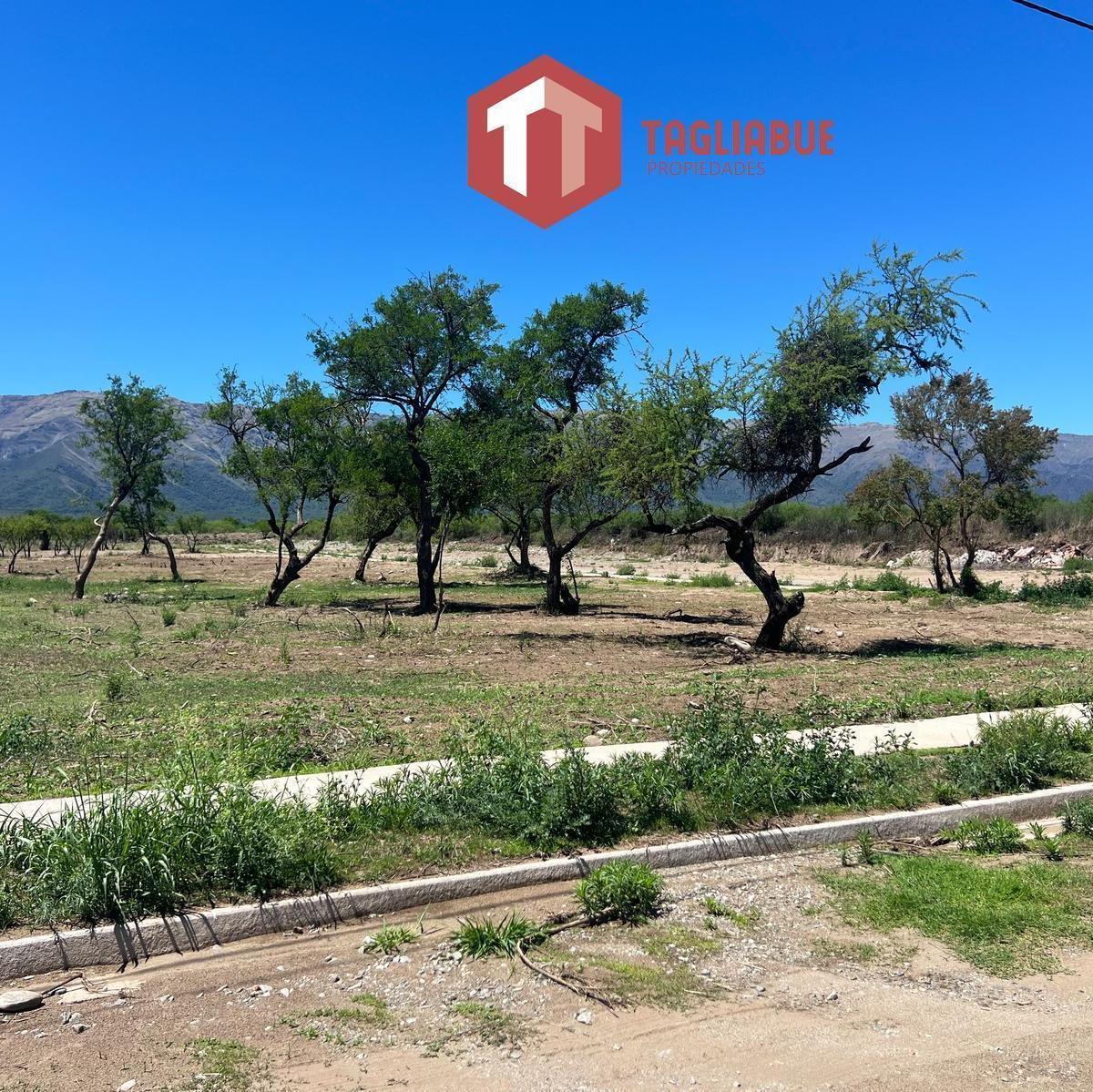 Terreno en La Arbolada Merlo, San Luis 2