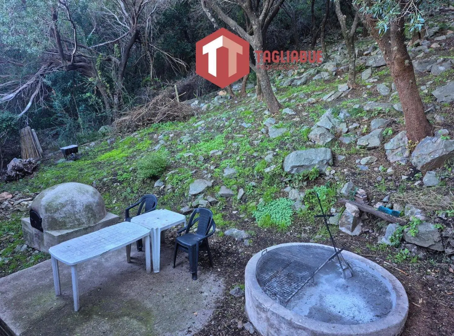 Casa en Venta Villa Elena | Excelente Campo de 4 Hectáreas 5