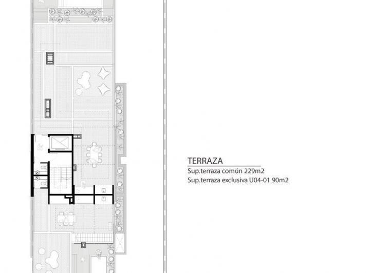 Plano 6