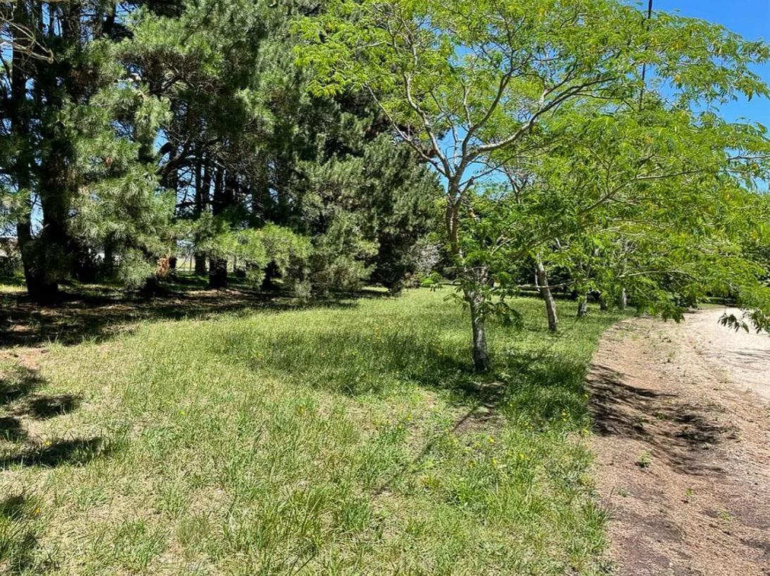 Terreno en Santa Clara del Mar 4