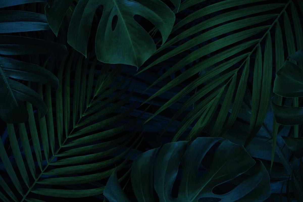 Departamento - Playa Grande 5