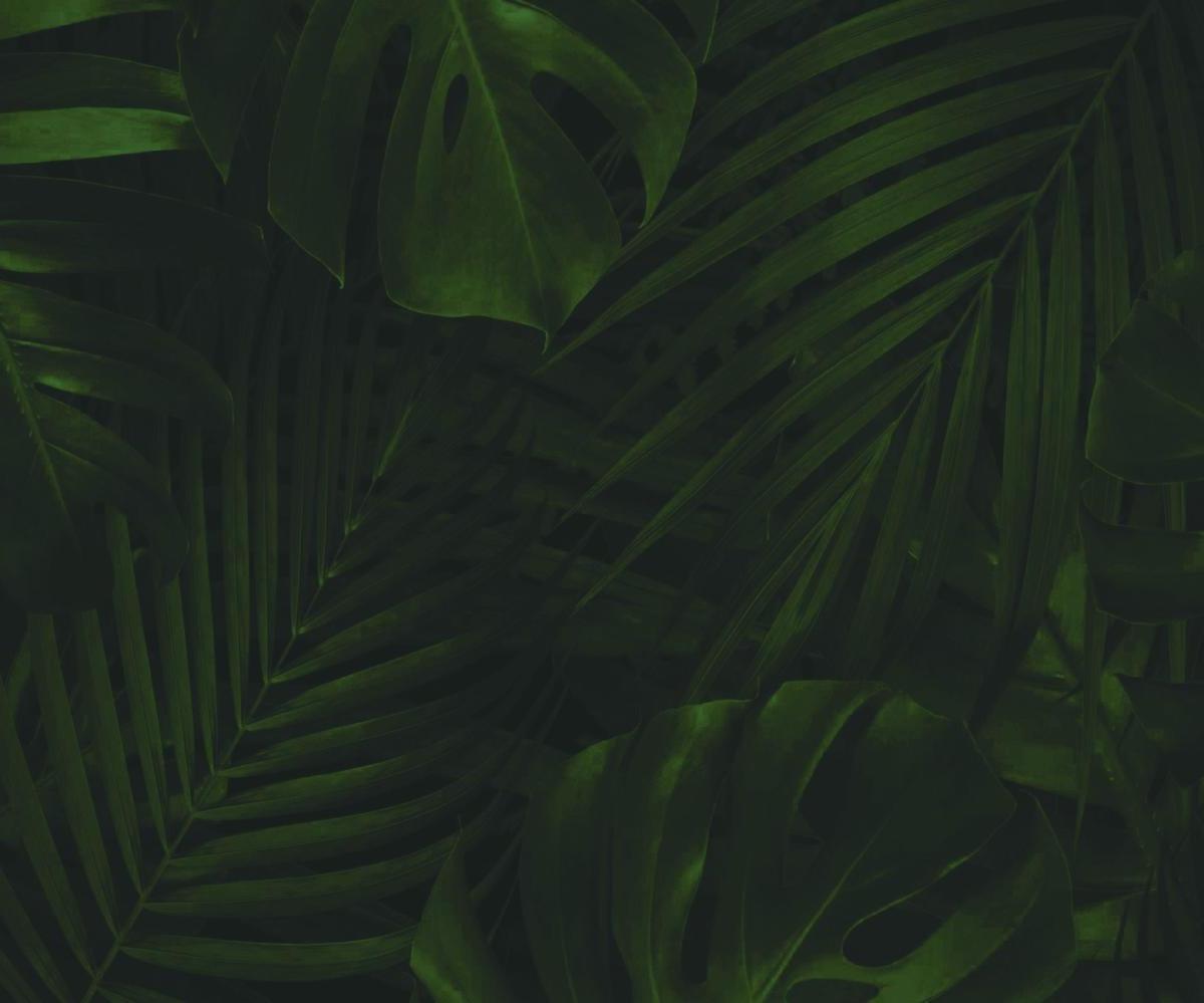 Departamento - Playa Grande 3