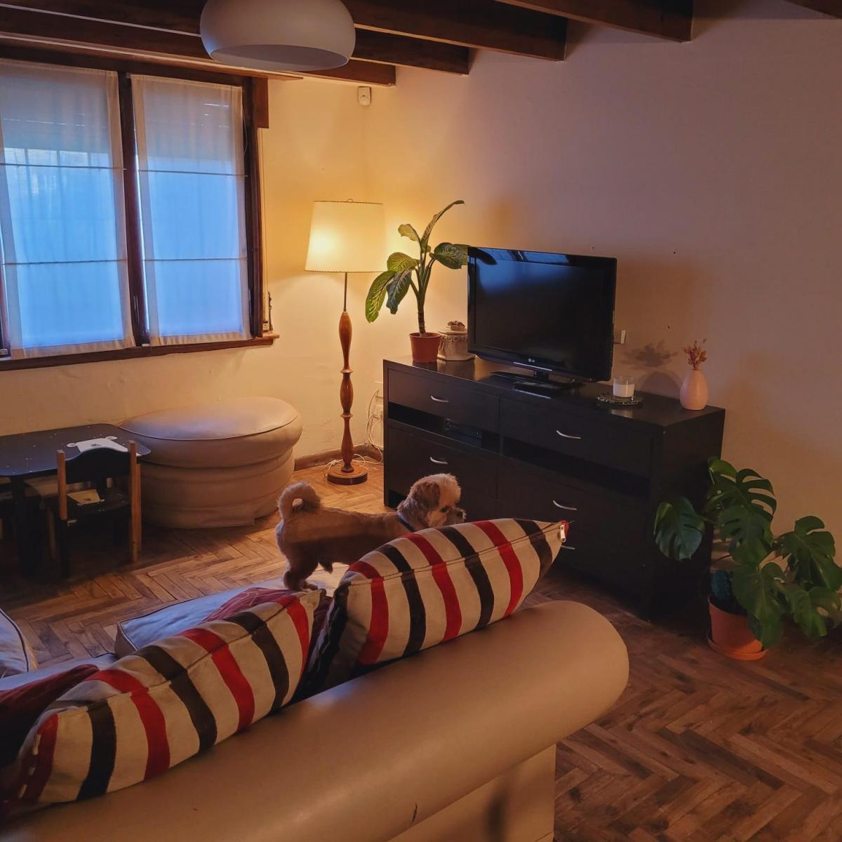 Foto de Venta Chalet Depto en Parque Luro - APTO CREDITO, imagen 5