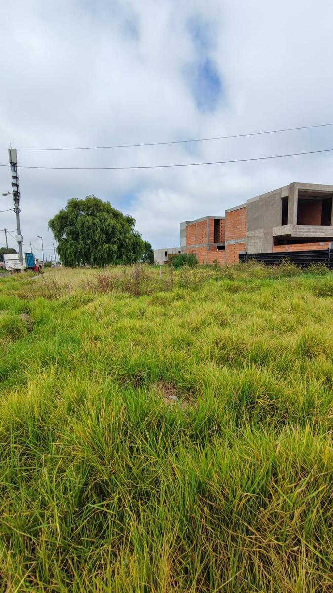 Lote Para Desarrollo Av Paso Barrio San Carlos 4