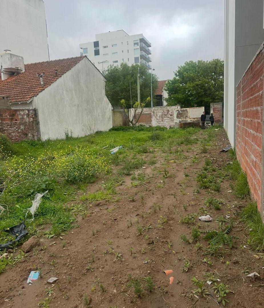 Terreno en Punta Mogotes