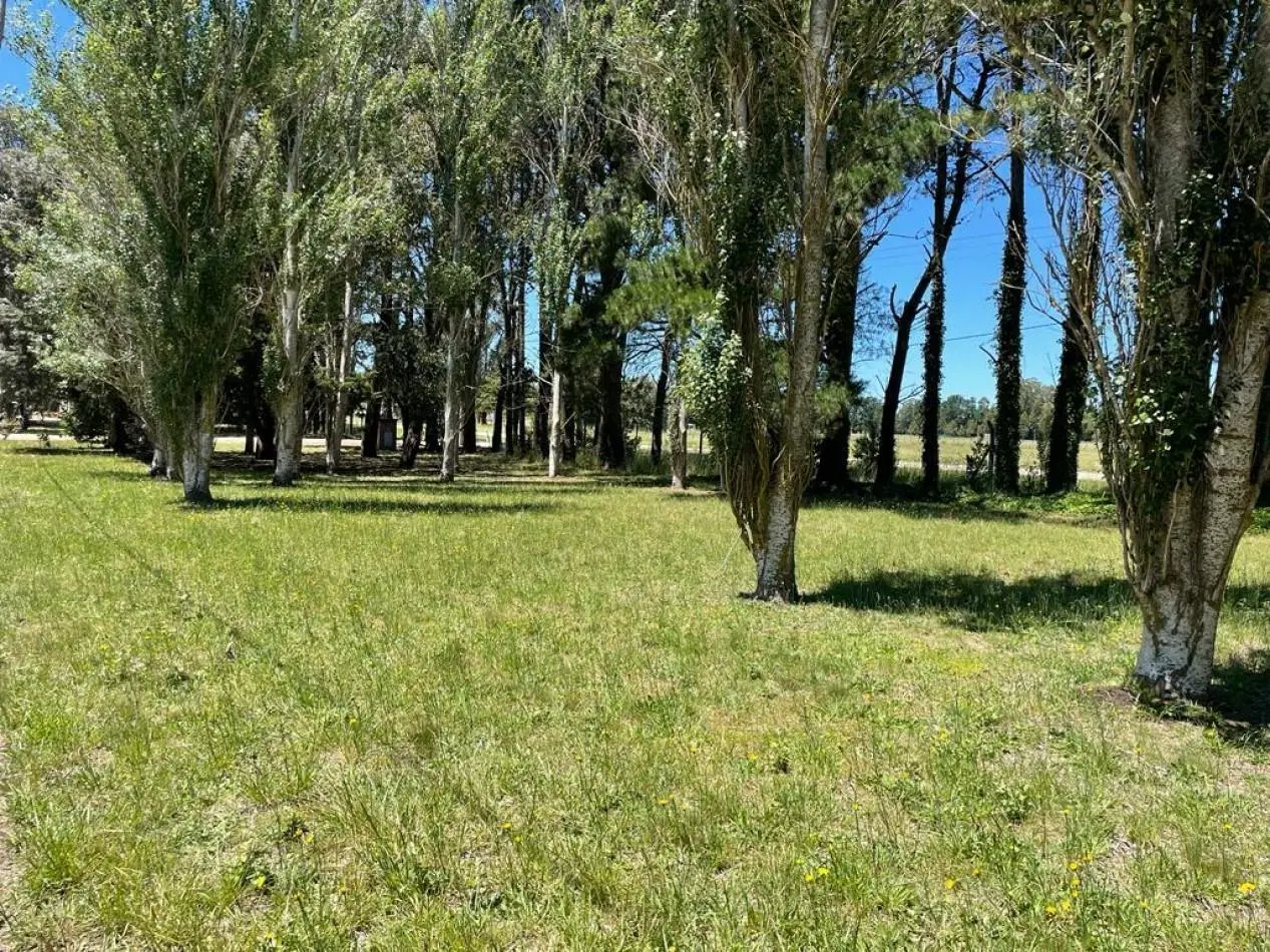 Terreno en Santa Clara Del Mar 3