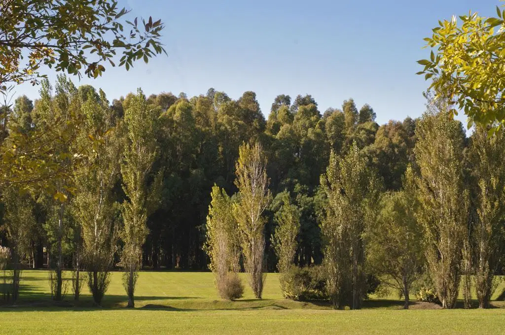 Terreno EN RUMENCO LOS CEIBOS 8