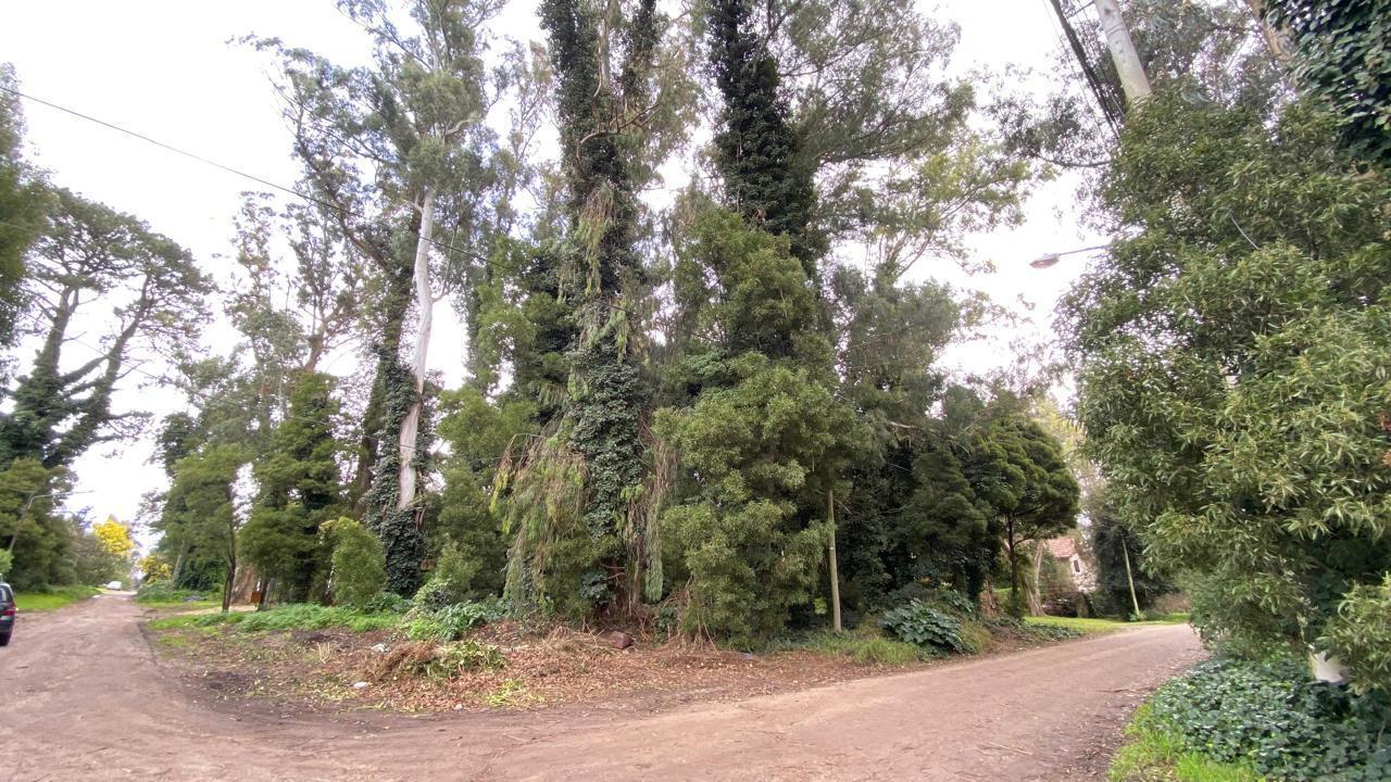 Foto de Terreno en bosque peralta ramos, imagen 5