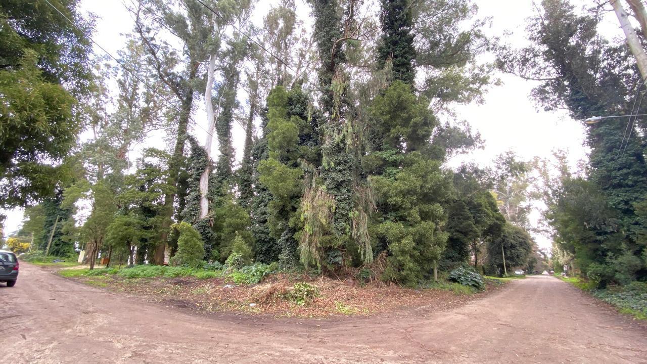 Foto de Terreno en bosque peralta ramos, imagen 4